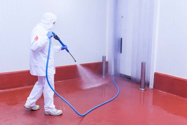 Best Rust Removal  in Dunkirk, NY