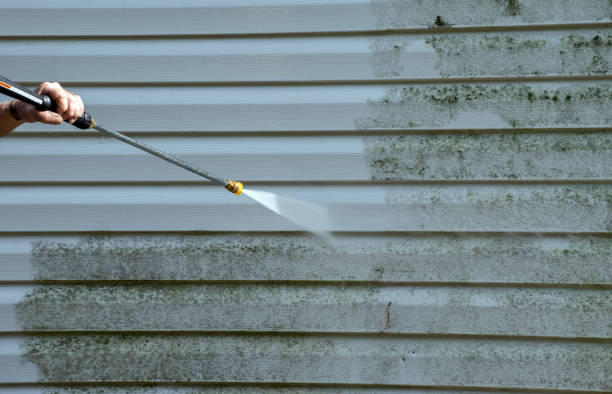 Best Gutter Cleaning  in Dunkirk, NY