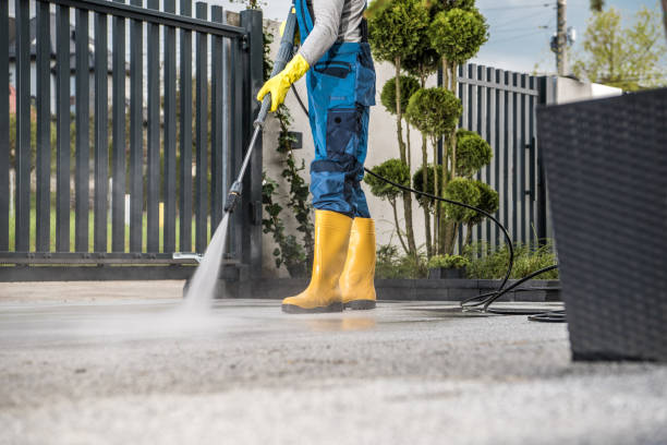 Animal Enclosure Cleaning in Dunkirk, NY